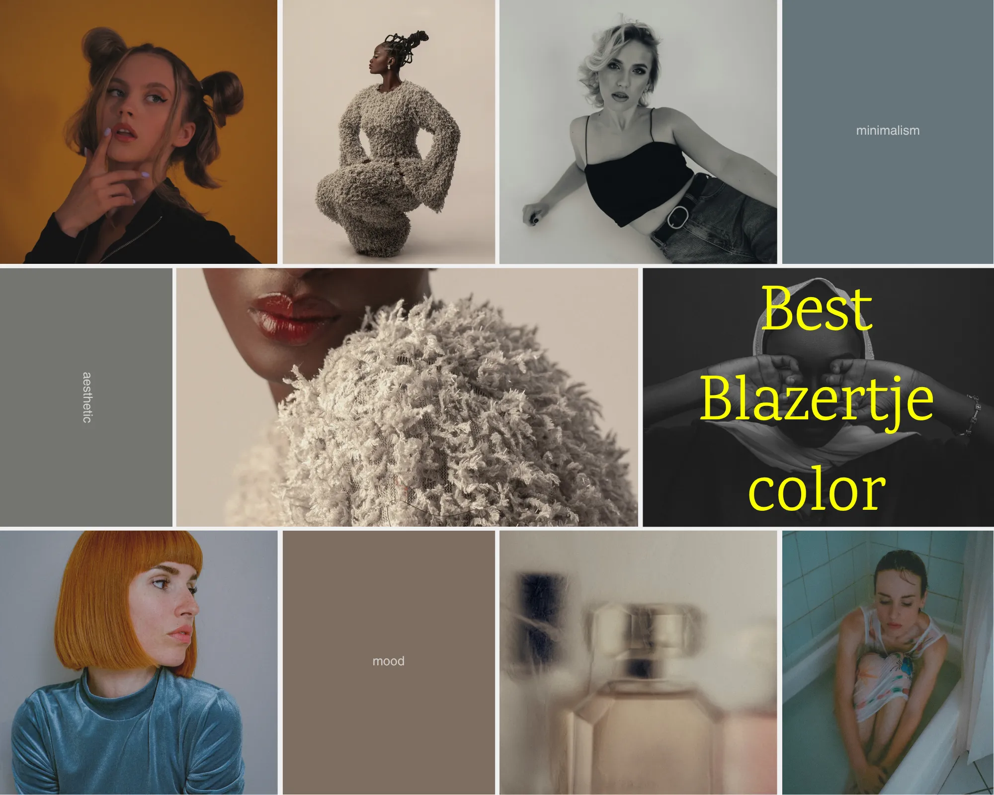 best Blazertje color